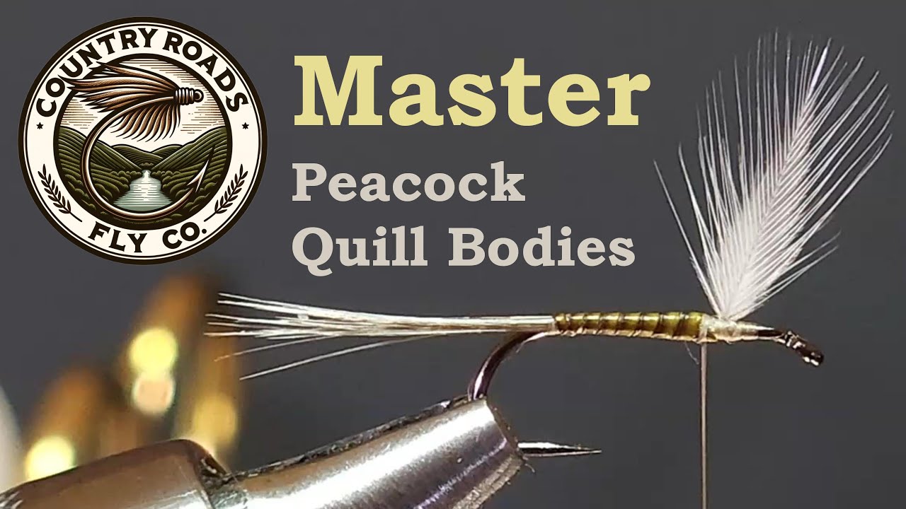 Master Peacock Quill Bodies :  Essential Fly Tying | Wrap by Wrap Series | Country Roads Fly