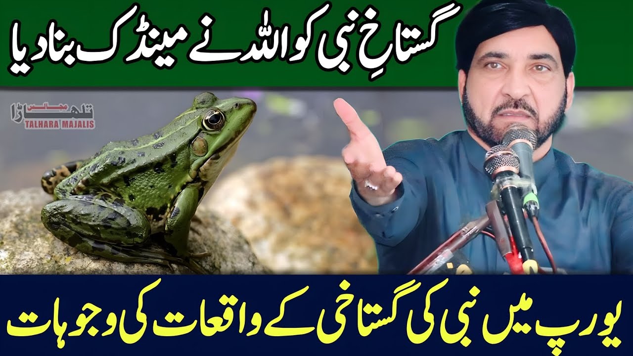 Nabiص Kia Aik Sunnat Jo Allah Nay Khud Banai / Allama Ali Nasir Talhara / 13 Rabi Ul Awal 2025 