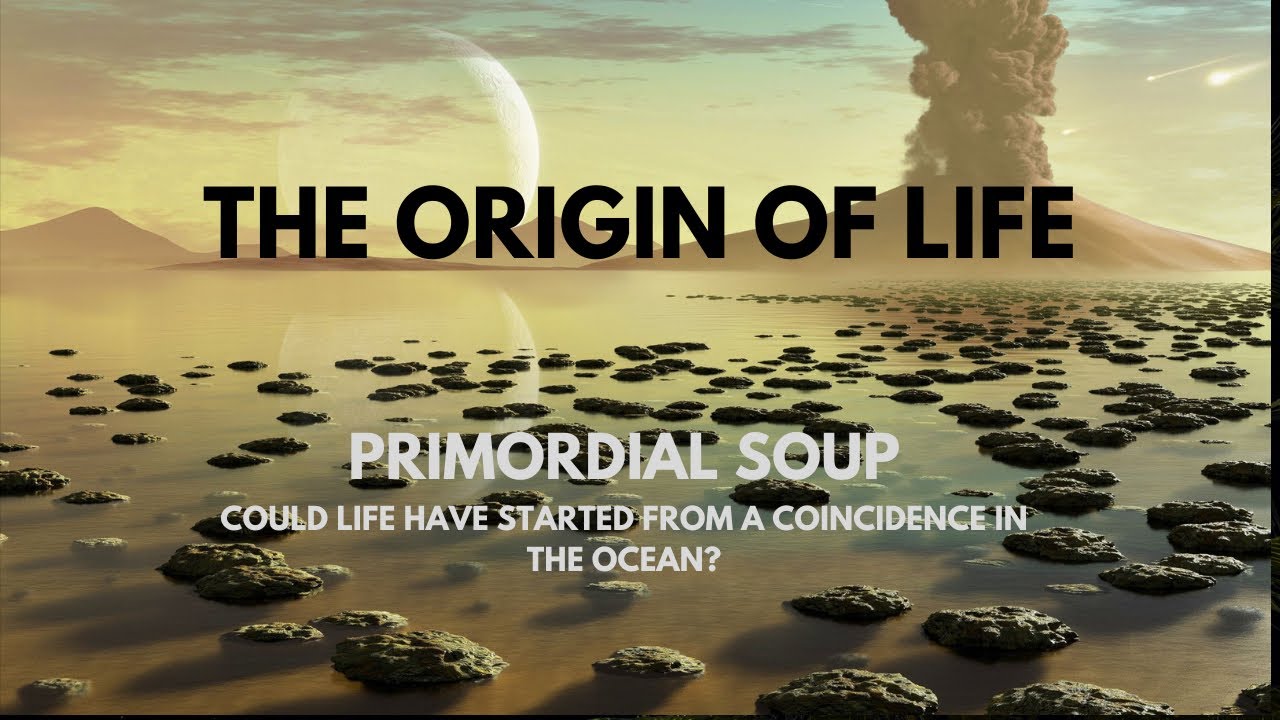 What Was the Soup That Created Life? The Origin of Life Theories.