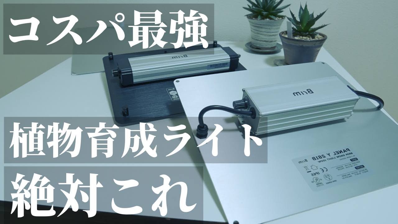 【超おすすめ】安い！コスパ最強！パネル型植物育成LEDライト５選！初心者も！あのSamsung製LM301H EVO「GL-BOARD 5400 EVO」レビュー！観葉植物｜アガベ｜塊根植物｜多肉植物