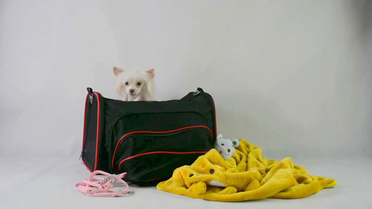 DOG AND DIVA pet fashion boutique puppy homecoming gift sets