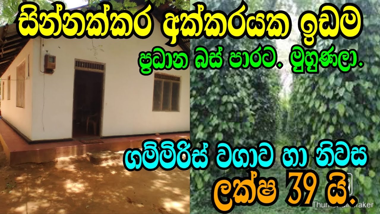 ප්‍රධාන පාරට මුහුණලා සින්නක්කර අක් .ඉඩම නිවස හා ගම්මිරිස් වගාව ලක්ෂ 39 යි .monaragala land/podimall