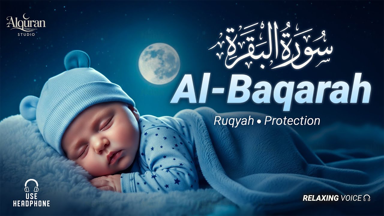 Surah Al-Baqarah (سورة البقرة) | Lofi Quran Peaceful Heart Recitation - By Alaq Aqel