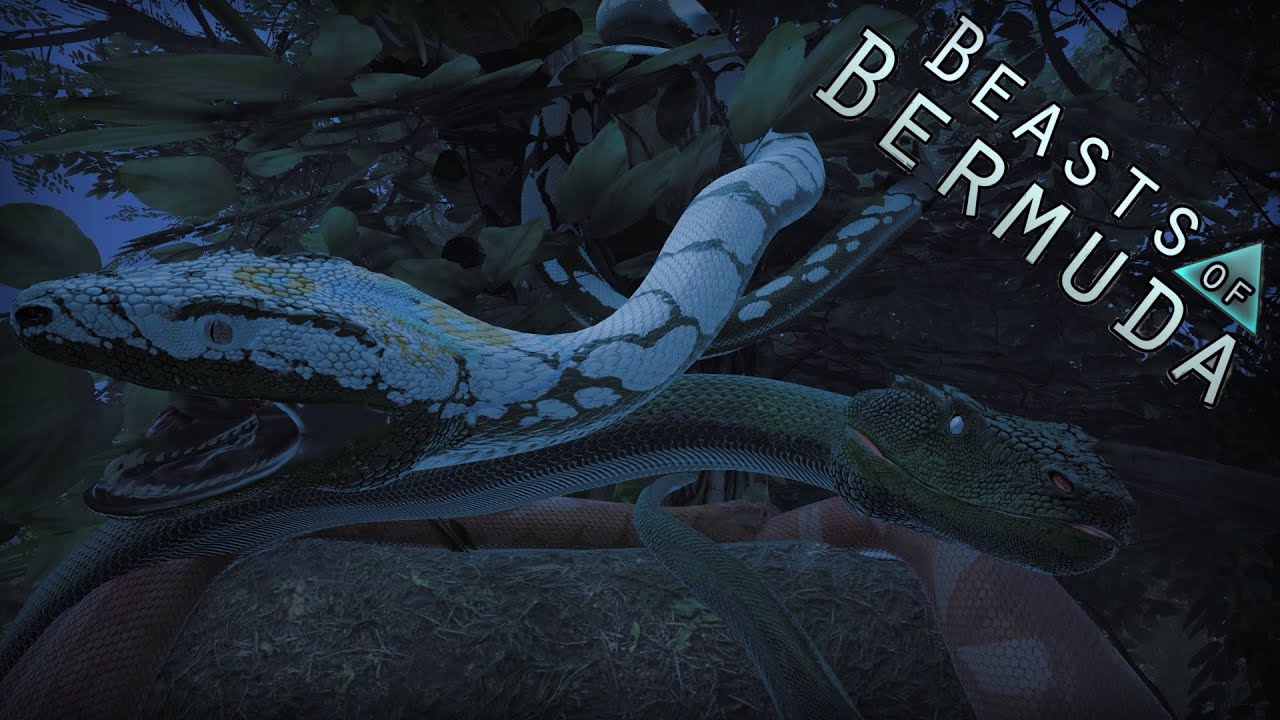 Life of a Semi Aquatic palaeophis"Giant Snake" (Beasts of Bermuda)