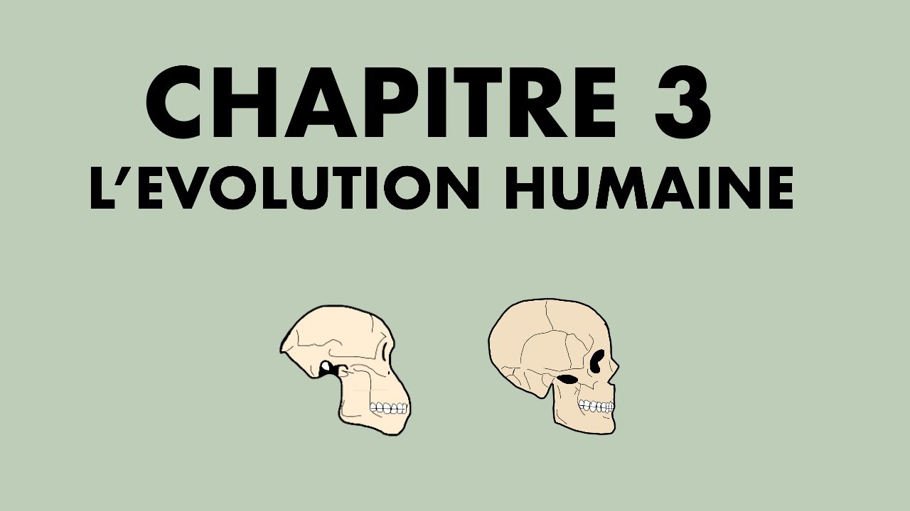 L’EVOLUTION HUMAINE - ENSEIGNEMENT SCIENTIFIQUE - TERMINALE