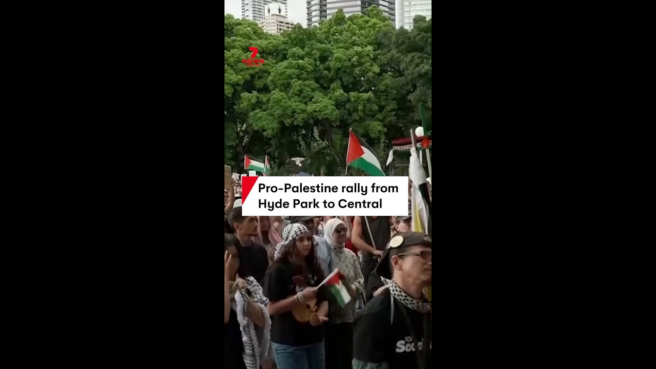 Pro-Palestine rally from Hyde Park to Central