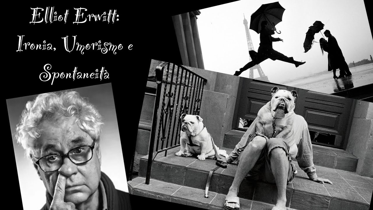 Photography Masters: la spontaneità di Elliot Erwitt [Episodio 1] #fotografia #ElliotErwitt