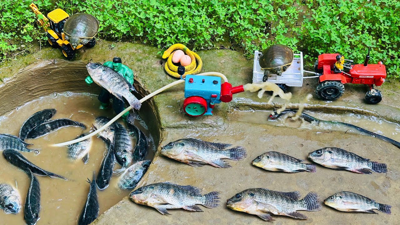 Catch fish using mini diesel engine water pump for fish | fishing exciting | diy tractor