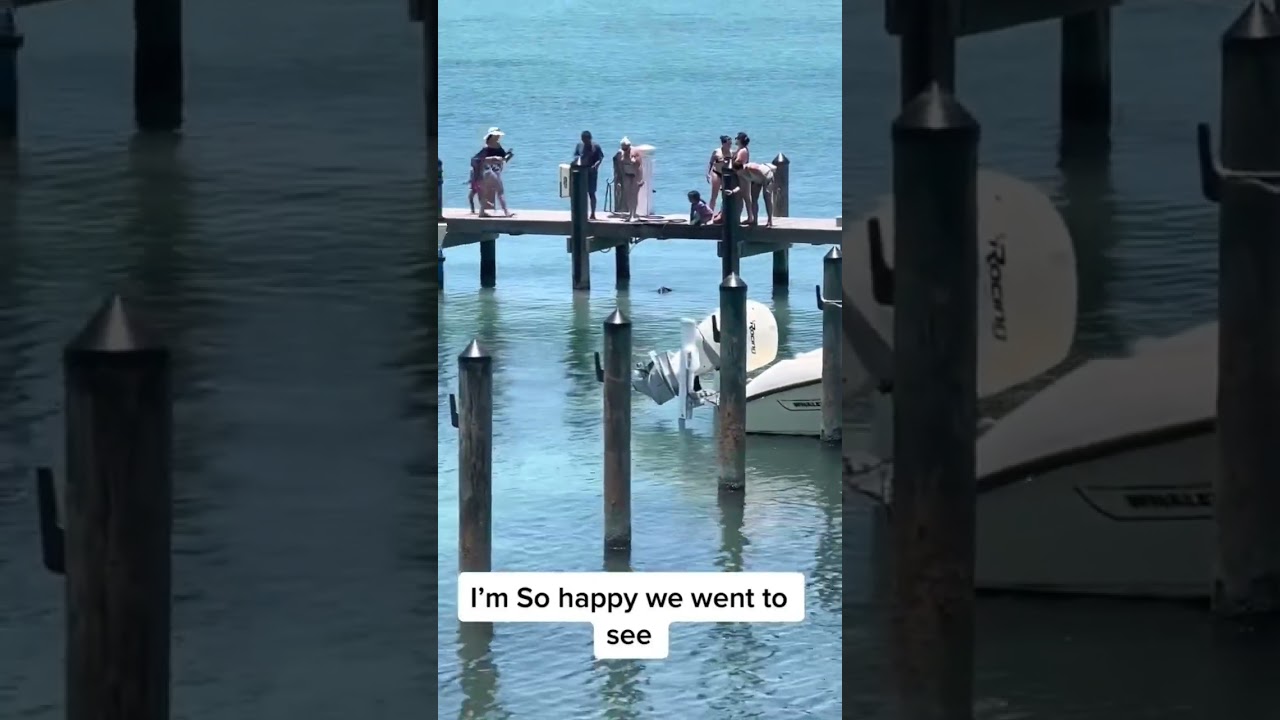 You won&rsquo;t believe what we saw! #travel #vlog #animals