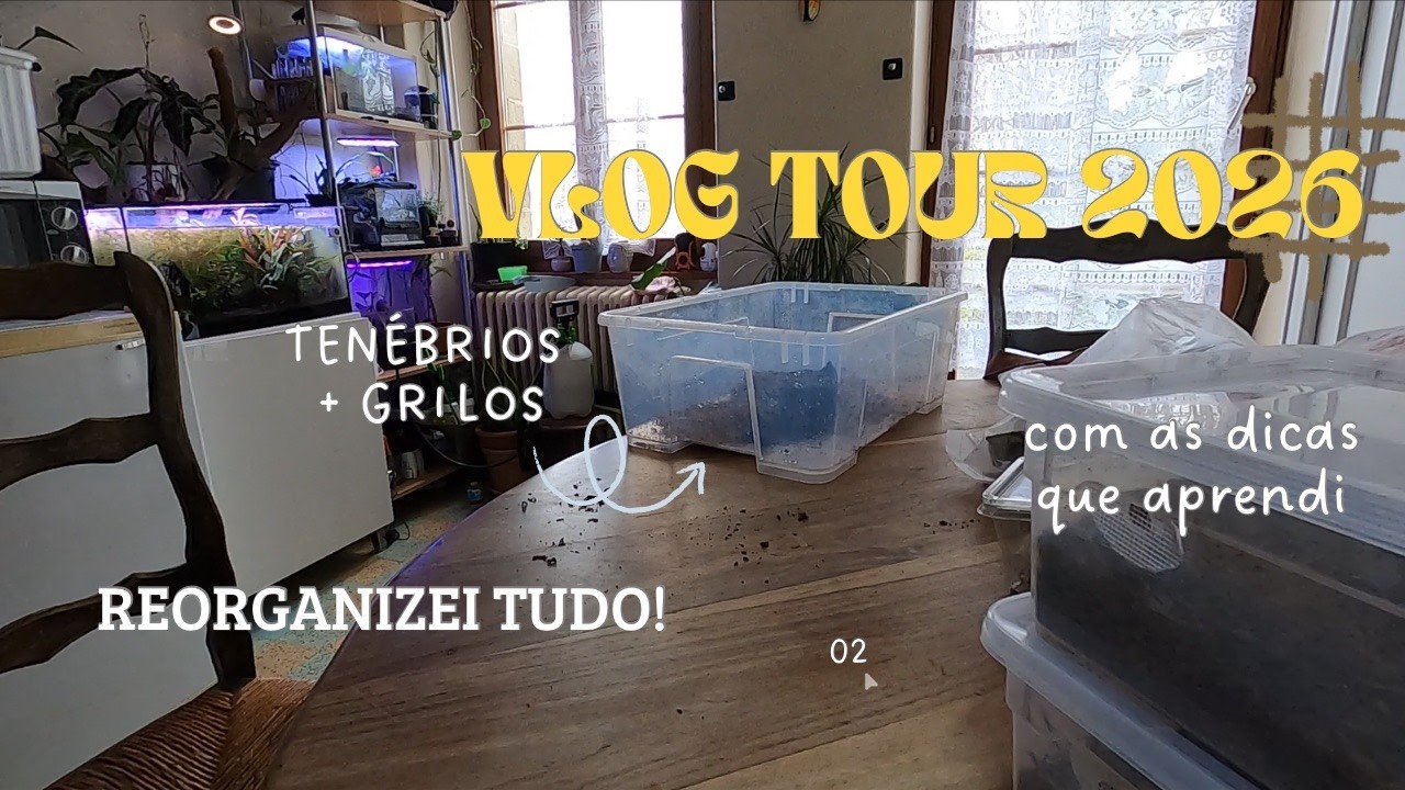 Como Faço Minha Criação de Tenébrios e Grilos | Passo a Passo Atualizado!
