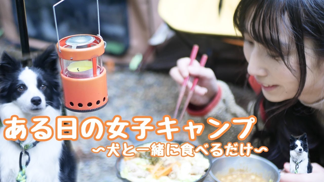 ある日の女子ソロキャンプ〜犬と一緒に食べるだけ〜【ボーダーコリー】