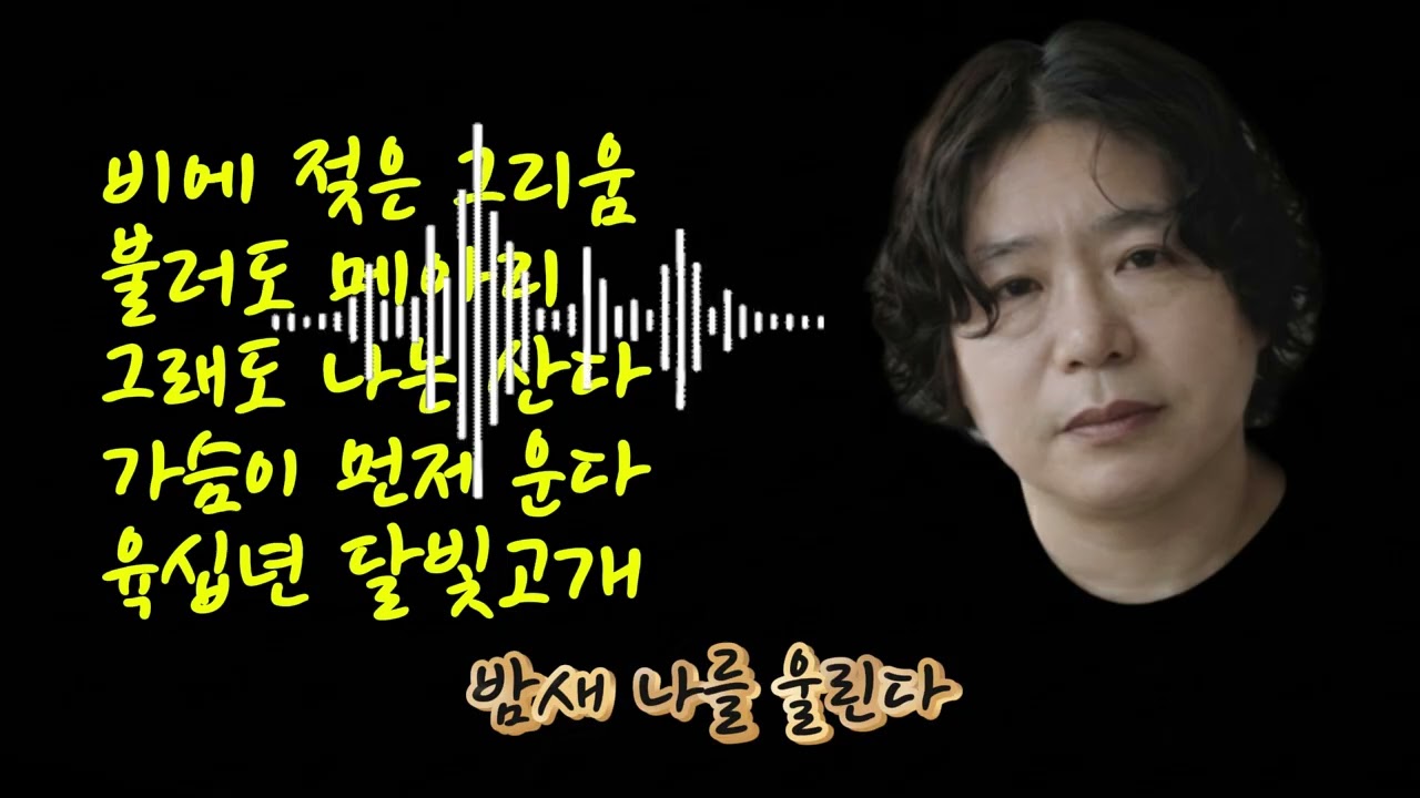 🎶 156집베스트 5곡 노래 모음
