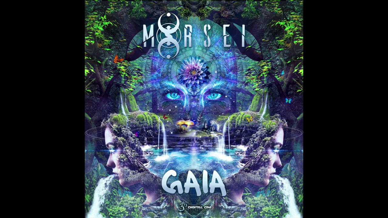 Morsei - Jungle Vision