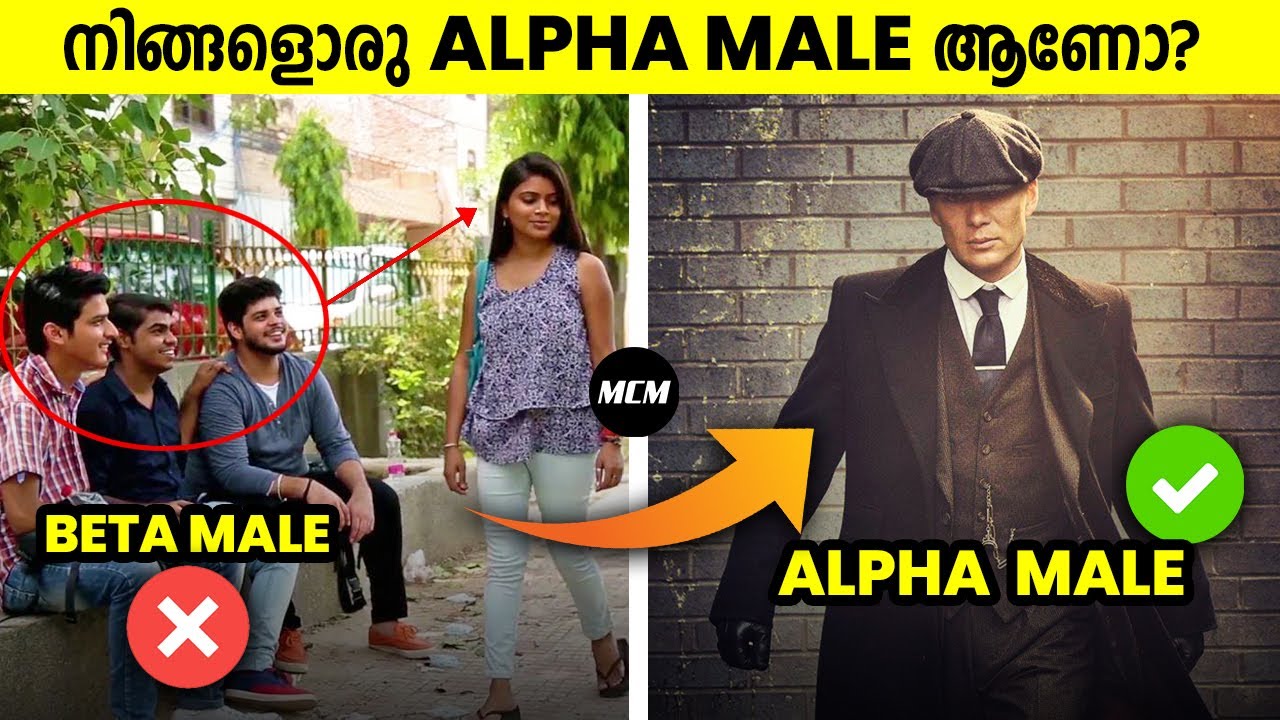 5 Traits of an Alpha Male | Signs of an Alpha Male | Malayalam | How to become an alpha male