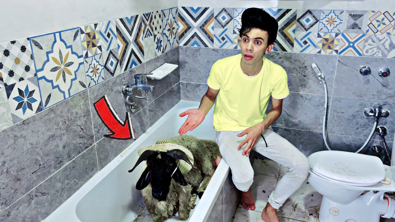 خروف العيد المجنون🐏😂 |السلسيلي