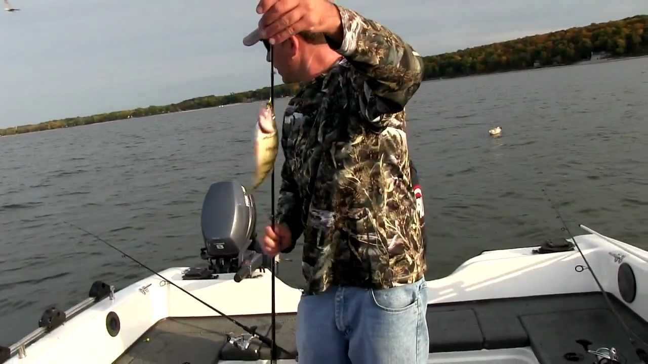 Fall Perch Fishing