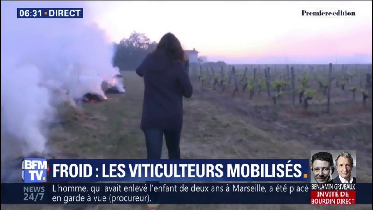 Feu et hélicoptère: ces vignerons de Saint-Émilion emploient les grands moyens contre le gel