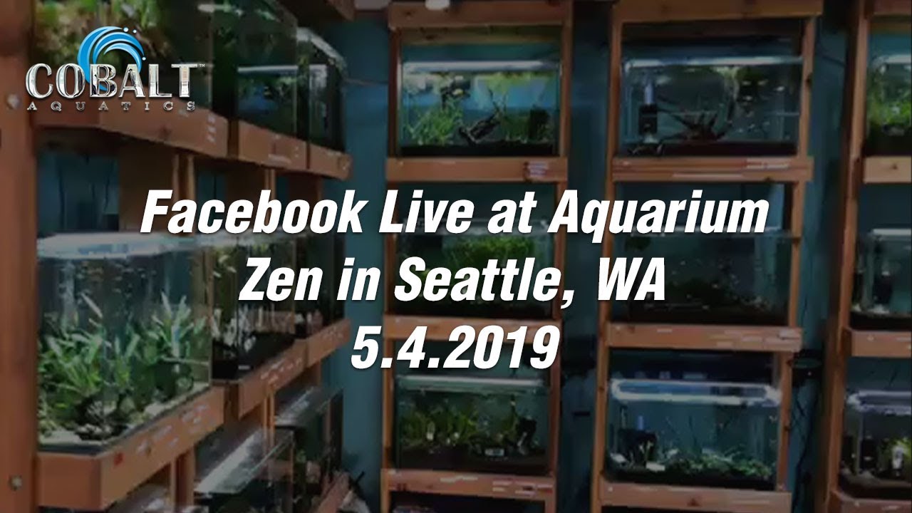 Facebook Live at Aquarium Zen in Seattle, WA