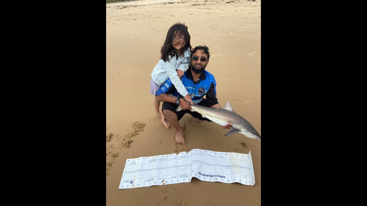 Bulli Beach Shark Fishing