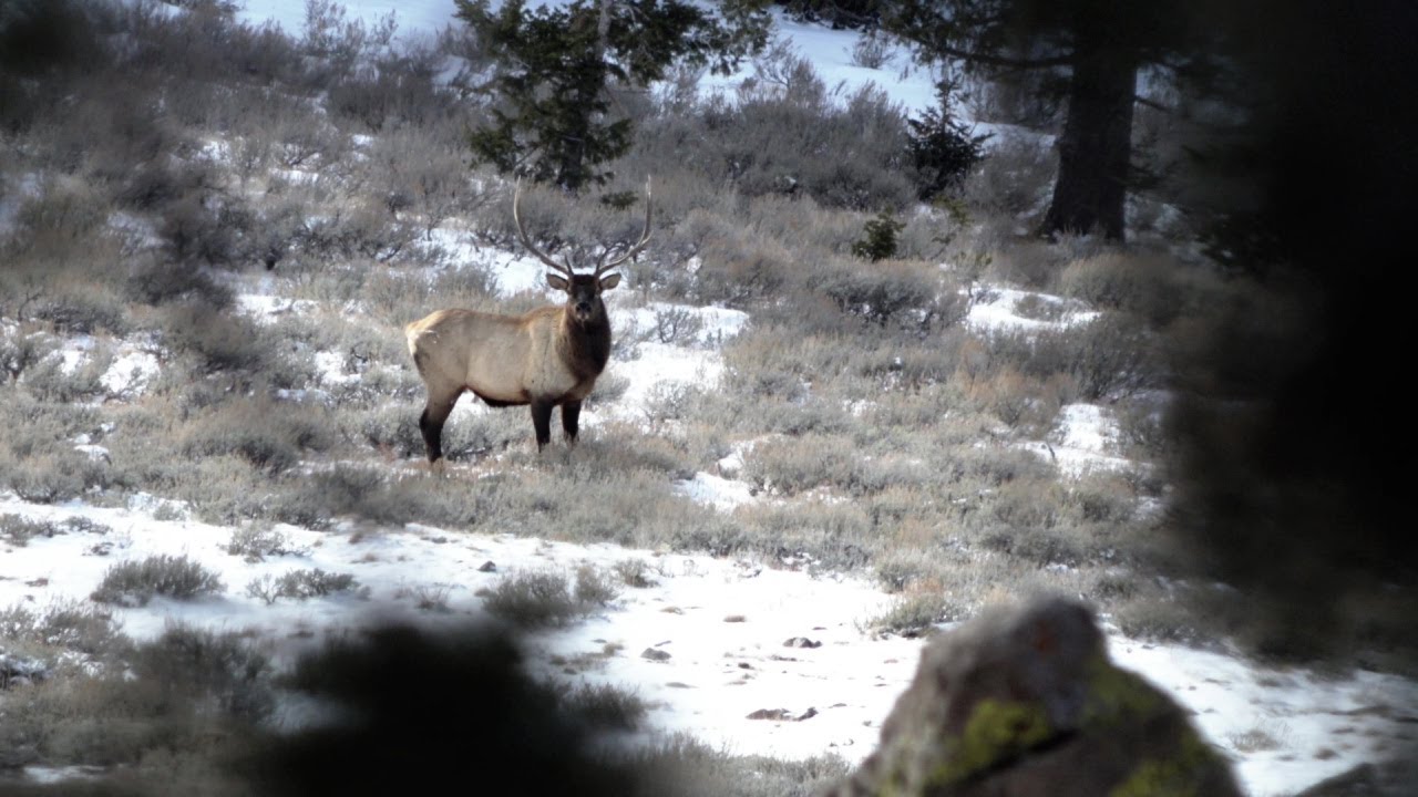 Idaho Muzzleloader Elk Hunt Episode 2 - The Grind