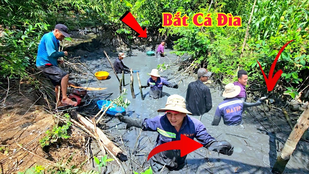 Cái Cảnh Bắt Cá Đìa Miền Tây Là Đây