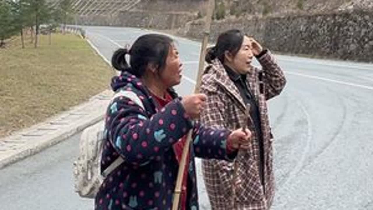 在收山货途中遇见放羊阿姨，脚骨折了也不歇，家中老丈夫心梗，女儿家庭不幸，儿子还未成年在读书，生活的苦难全落在她身上。她却未曾倒下。看着她艰难挪步，我满心酸涩，生活不易，愿命运对她温柔以待。#三农...