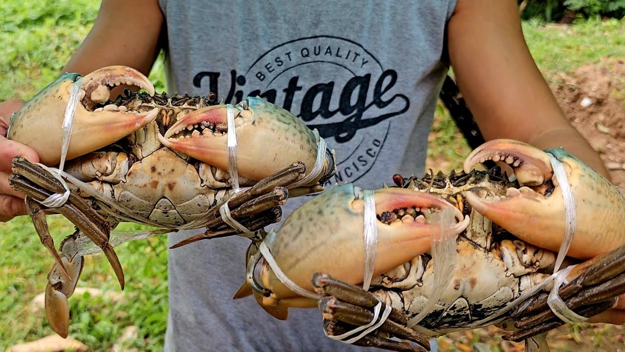 GINATAANG ALIMANGO at KALABASA | PAGKAING BUKID | OUTDOOR COOKING |Team AgustinTV