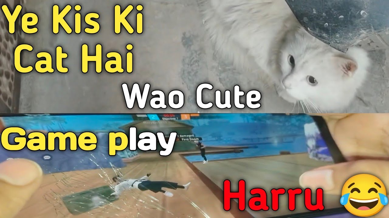 Whose Persian cat is this?🤨  Arham ka game play dehko 😂😂 harru arham😭