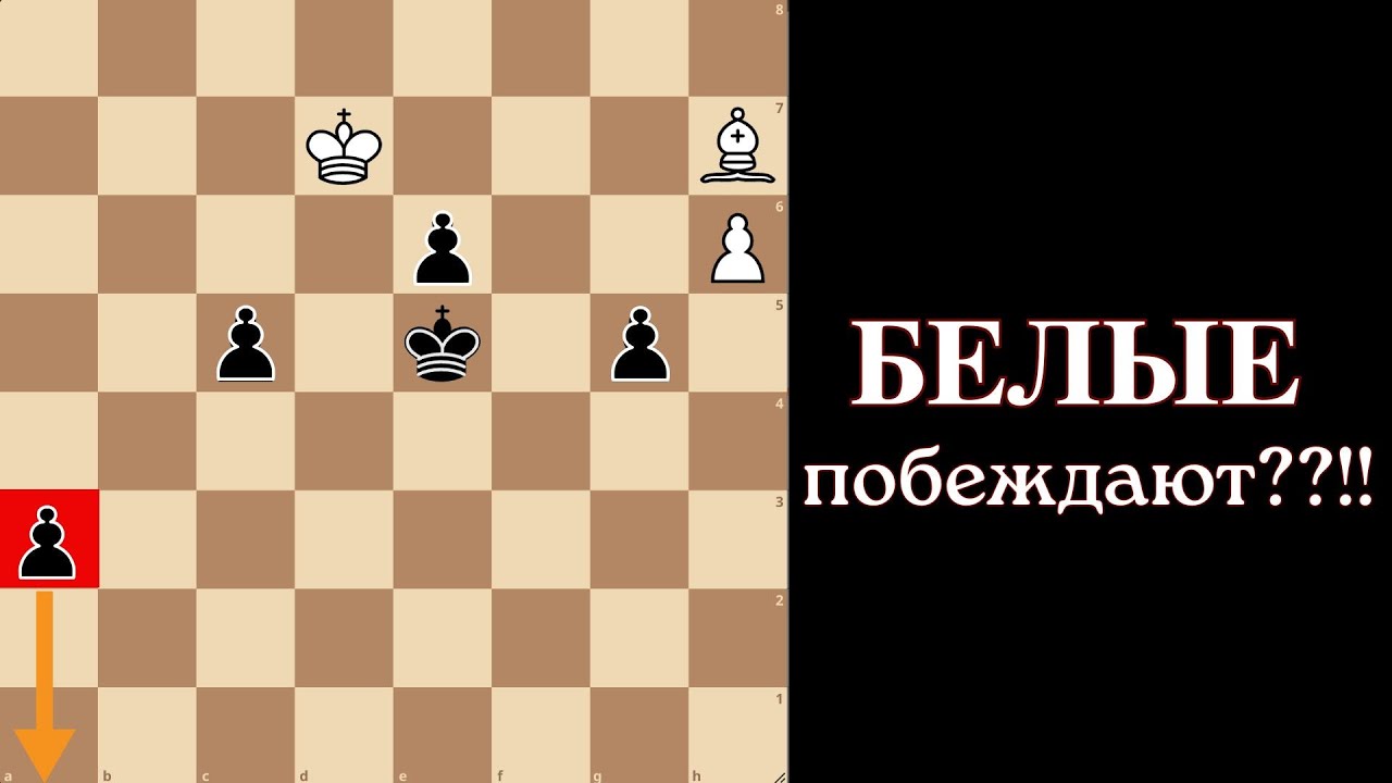 Эта шахматная задача удивит всех! Белые побеждают?