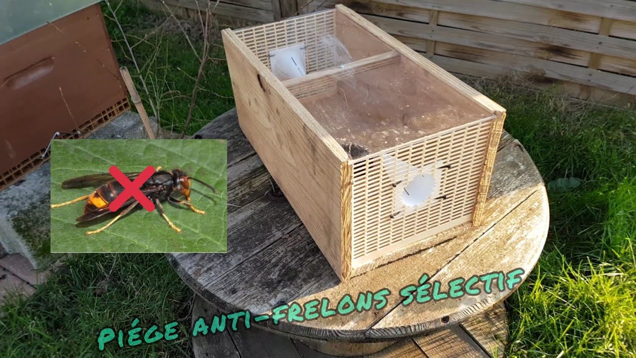 #11 Piège anti-frelons sélectif part2