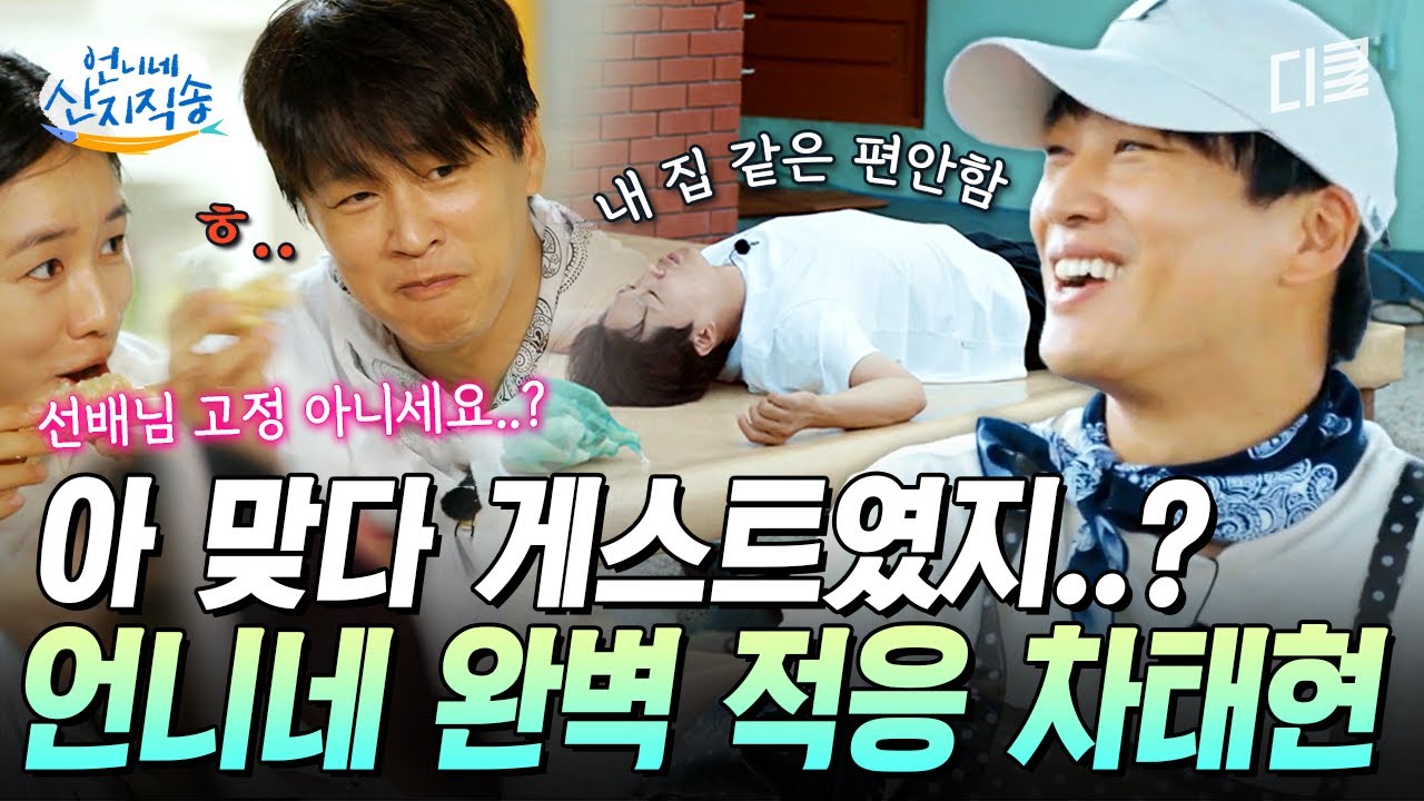 [#언니네산지직송] 차태현의 언니네 완벽 적응기😮 고정 프로그램 같은 편안한 바이브 보여주고 간 확신의 예능캐 태현 슨배님🤣