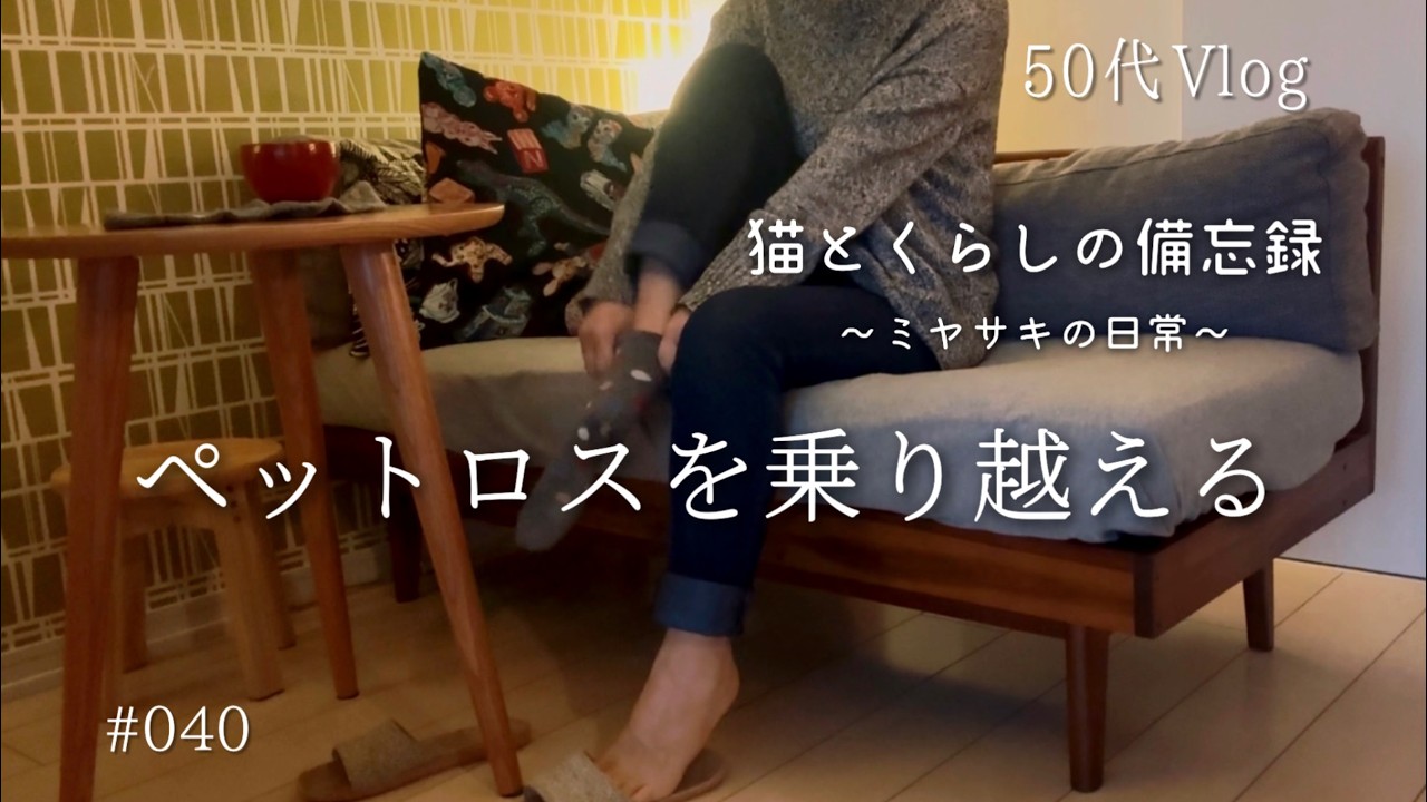 【50代Vlog】ペットロスを乗り越える｜春雨と鶏肉の炒め物｜ひとり晩酌