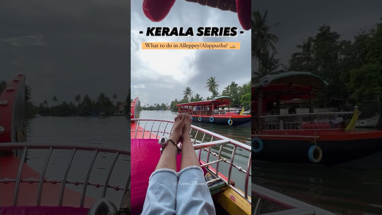 What to do in Alleppey 🛶#alleppey #backwaters #kerala #alappuzha