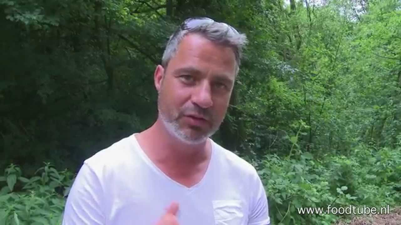 Wildplukken langs de Bosbaan