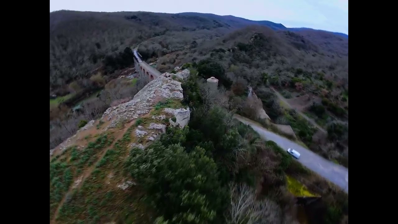 Into the wild 🍃 #djiavata2 #cinematicfpv #naturelovers #fyp 
