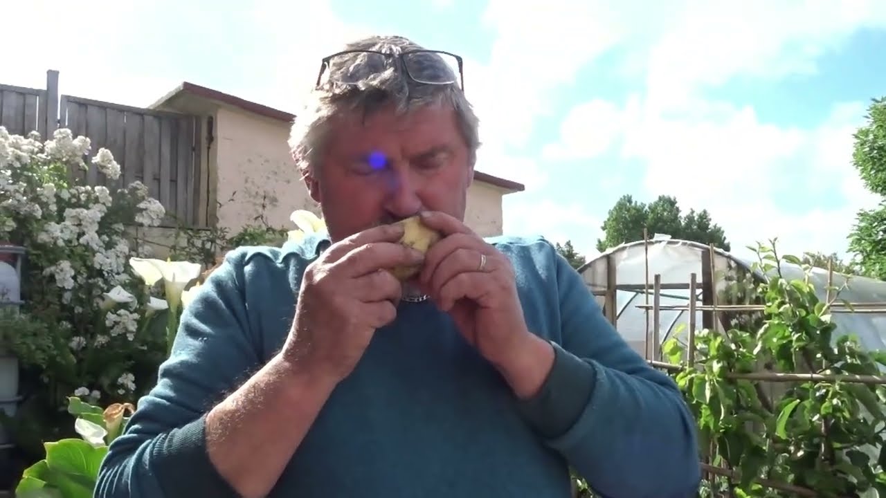 le 28/05/2022 : Savoir faire de la place au potager
