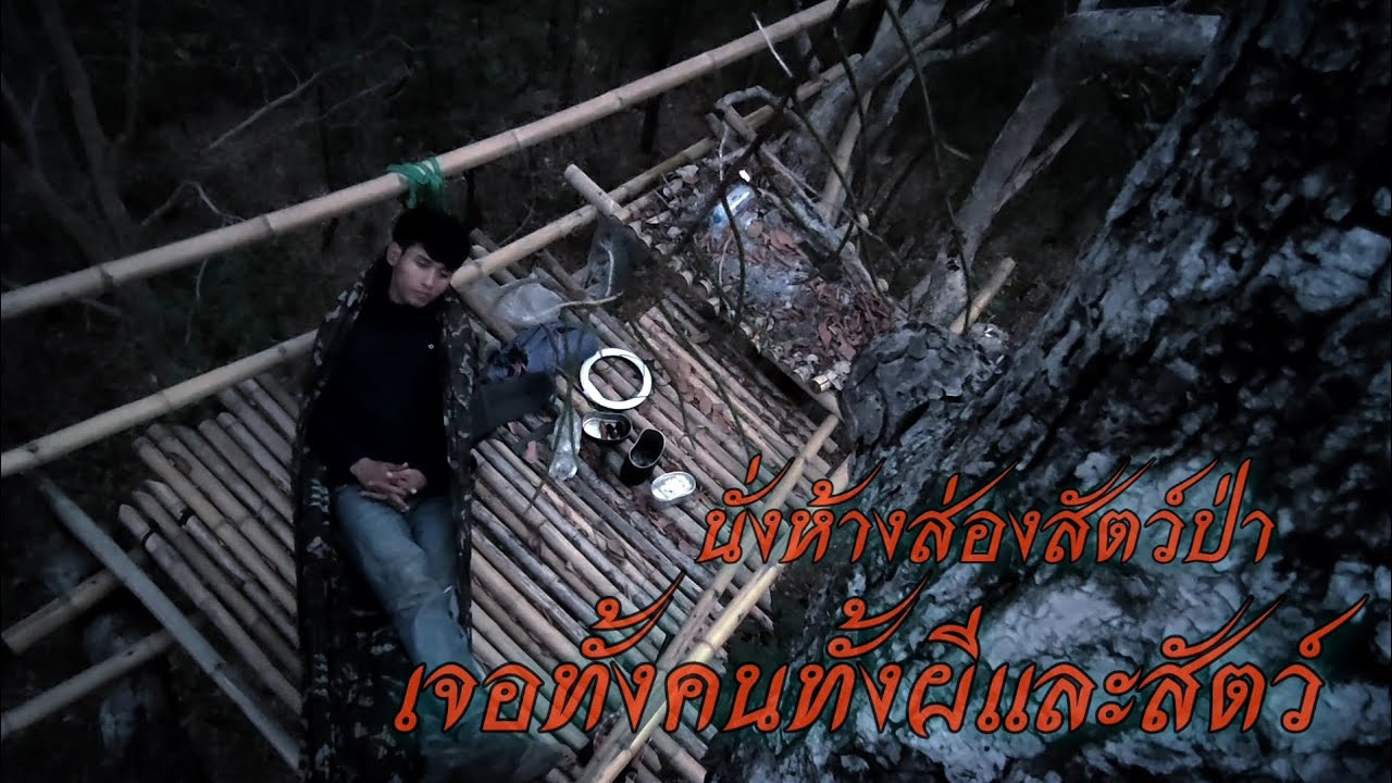 EP.166 นั่งห้างส่องดูสัตว์เจอสัตว์ป่าบนยอดเขาสูง