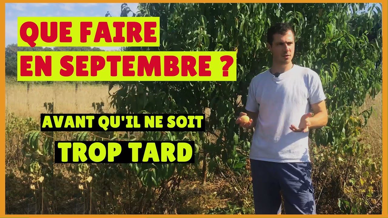 Que Faire en SEPTEMBRE au Jardin Forêt