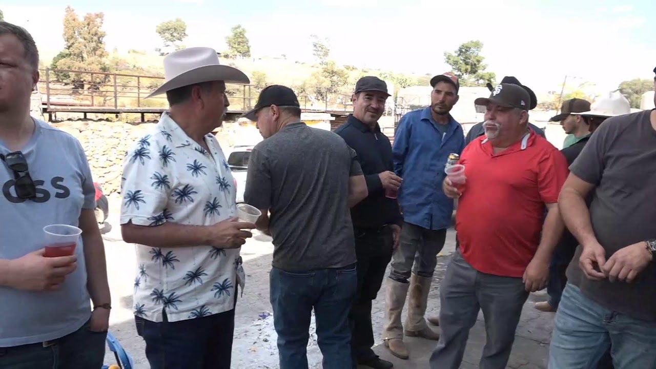 papaqui la jabo