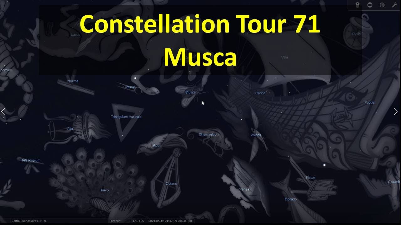 Constellation Tour 71-  Musca