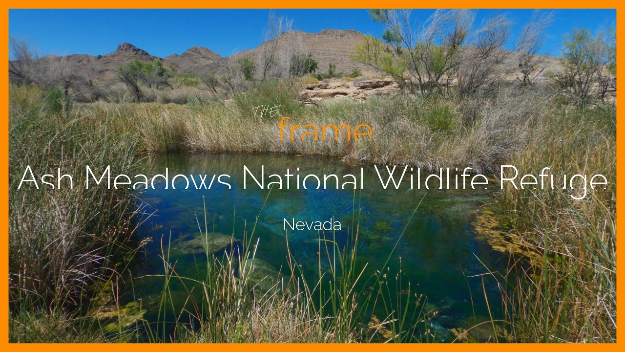 Ash Meadows National Wildlife Refuge, Nevada | The Frame