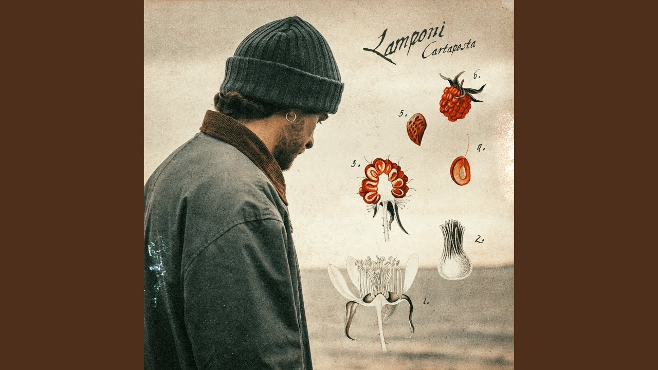 LAMPONI