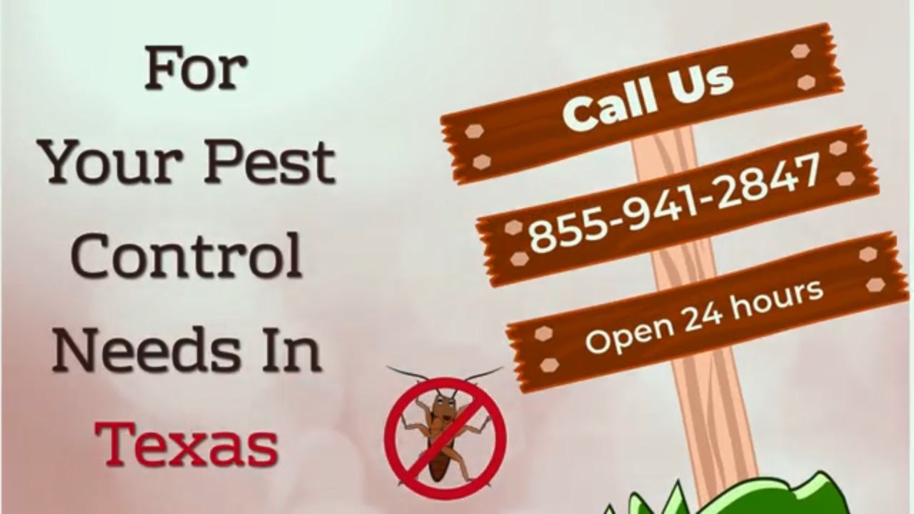 Pest Control Services In Dallas, Texas #Bedbugs #Rodents  #Roaches #Termite #Exterminator Cheap 2020