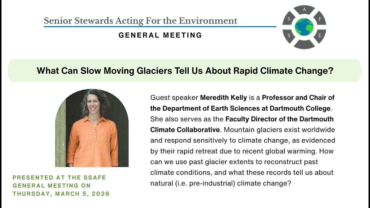 What Can Slow Moving Glaciers Tell Us About Rapid Climate Change?