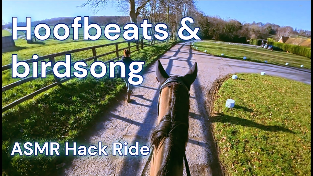 ASMR Hack Ride:  Birdsong, Hoofbeats & Bright Winter‑to‑Spring Calm