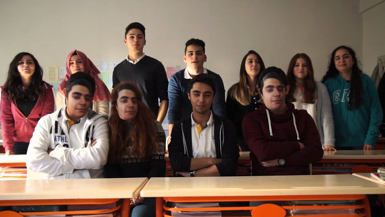Asiye Ağaoğlu Anadolu Lisesi 