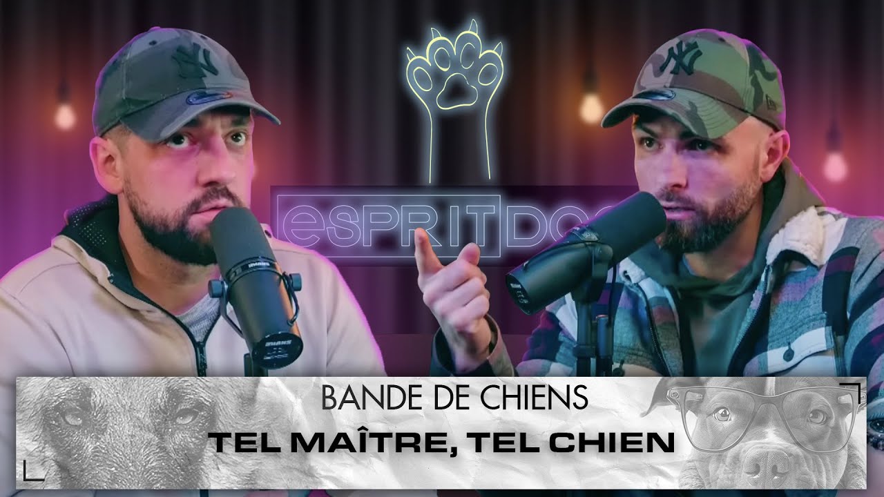 Votre chien lit en vous ATTENTION ! - Bande de Chiens