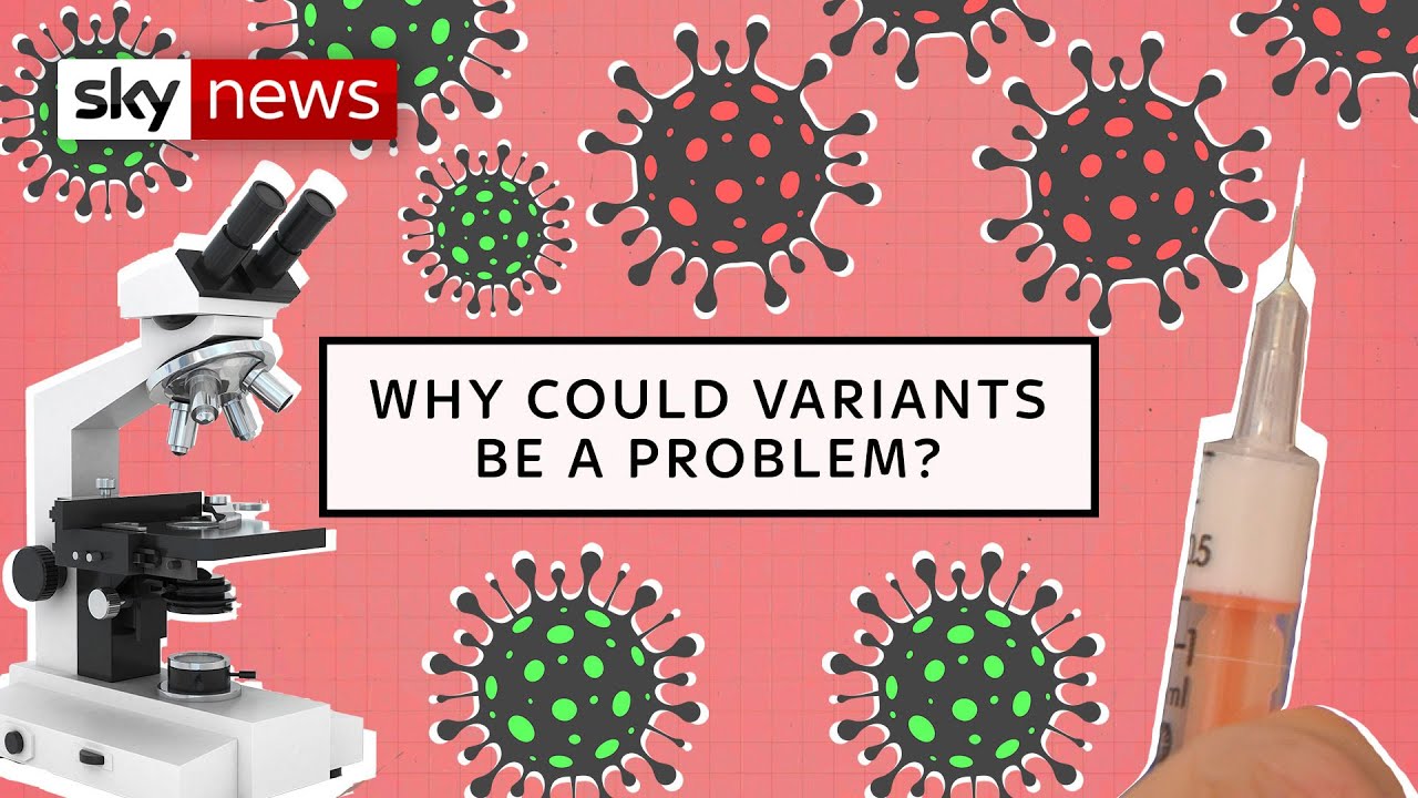 COVID-19: What is a variant?