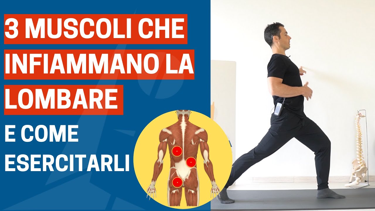 Ecco 3 MUSCOLI che INFIAMMANO la LOMBARE (+ come esercitarli)