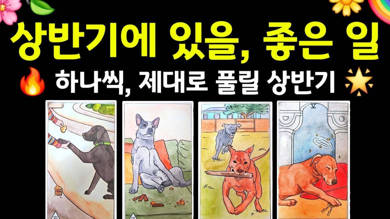 #타로 | 상반기에 있을, 좋은 소식 🌈 하나씩, 제대로 풀립니다 #타로운세 